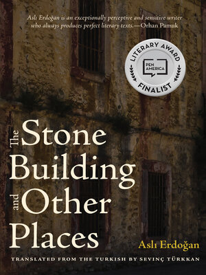 cover image of The Stone Building and Other Places
